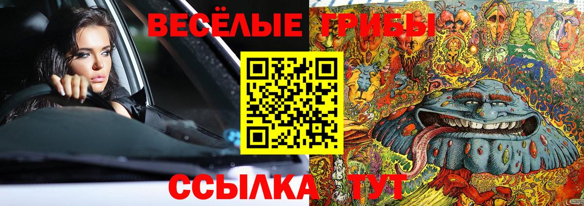 Псилоцибиновые грибы мухоморы  Псилоцибиновые грибы Psilocybe  цены наркотик  Вход с VPN  Ачинск 