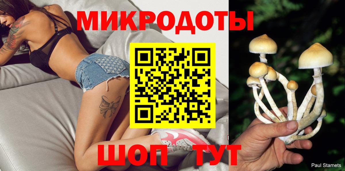 Псилоцибиновые грибы Psilocybine cubensis Ачинск